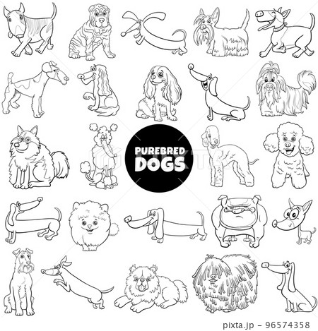 black and white cartoon purebred dogs and puppies characters set 96574358