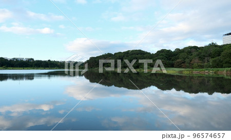 真夏の朝の湖2 北海道釧路市春採湖 96574657
