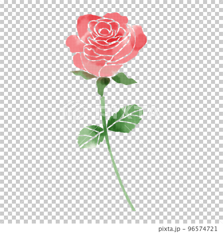 水彩玫瑰圖 96574721