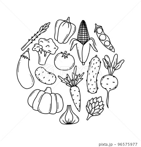 Doodle vegetables vector set. Collection of vegetables broccoli, corn, pepper, onion, garlic, asparagus. Hand-drawn style isolated on white background. Doodle vegetables vector set. Collection of vegetables broccoli, corn, pepper, onion, garlic, asparagus. Hand-drawn style isolated on white background. 96575977