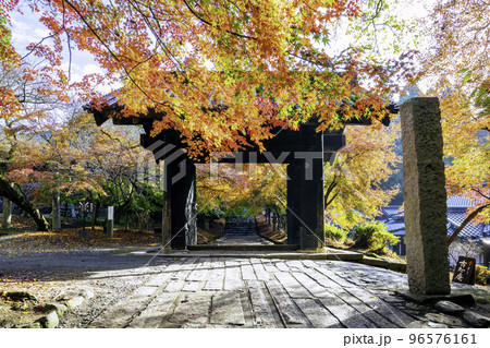 紅葉が美しい秋月城跡(福岡県朝倉市) 紅葉が美しい秋月城跡(福岡県朝倉市) 96576161