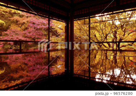 秋の瑠璃光院 96576280