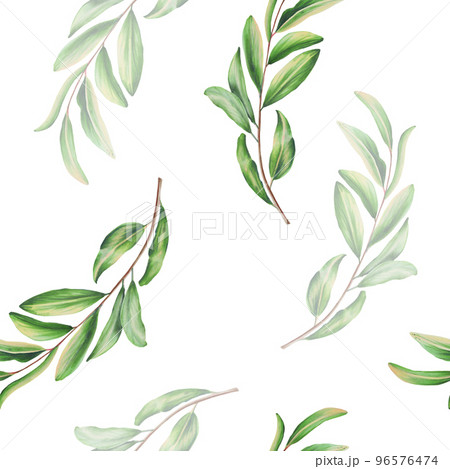 Watercolor seamless pattern with pomegranate leafs. Hand drawn realistic tasty garnet isolated on white background Watercolor seamless pattern with pomegranate leafs. Hand drawn realistic tasty garnet isolated on white background 96576474