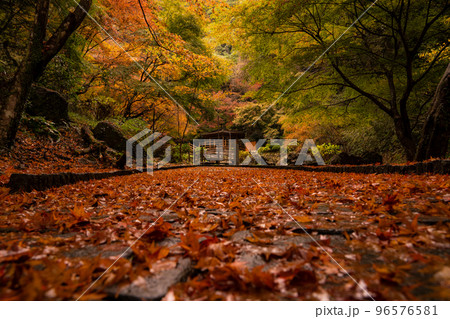 秋の紅葉　佐賀県清水の滝 96576581
