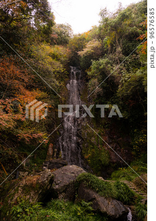 秋の紅葉 佐賀県清水の滝 秋の紅葉 佐賀県清水の滝 96576585