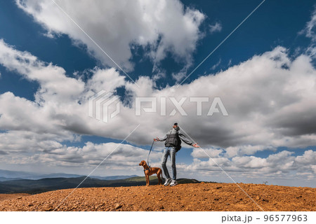 Hiker Man with Vizsla Dog at Mountain Top Hiker Man with Vizsla Dog at Mountain Top 96577963
