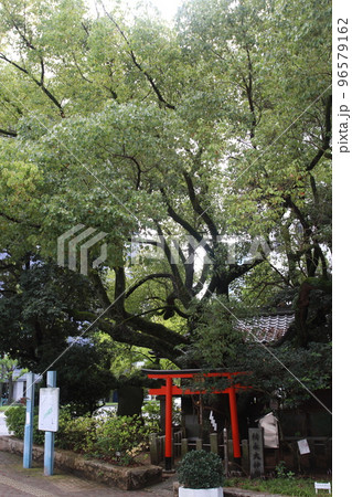 靱公園内にある「楠永神社」 靱公園内にある「楠永神社」 96579162