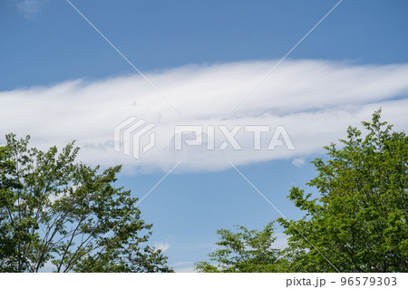 青い空を遮る白い雲（初夏の妙高高原) 96579303