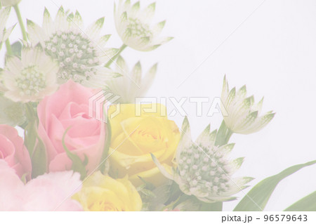 お祝い　花束　カーネーション　 薔薇　 96579643