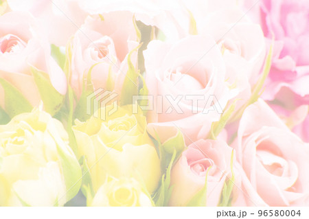 お祝い 花束 カーネーション 薔薇 お祝い 花束 カーネーション 薔薇 96580004