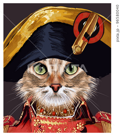 Portrait of a funny cat with a Napoleon's hat 96580040