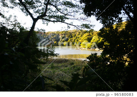 三浦市 小網代湾 三浦市 小網代湾 96580083