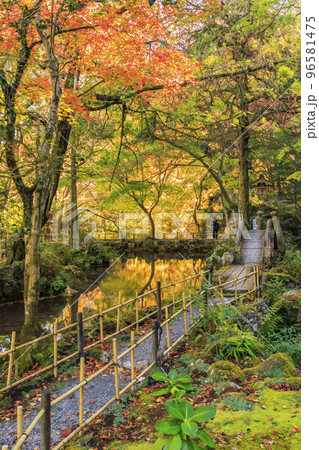 紅葉見頃な鳴谷山 聖宝寺 紅葉見頃な鳴谷山 聖宝寺 96581475