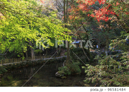 紅葉見頃な鳴谷山　聖宝寺 96581484
