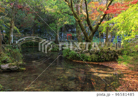 紅葉見頃な鳴谷山　聖宝寺 96581485