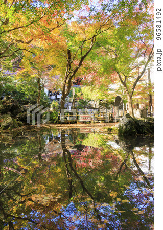 紅葉見頃な鳴谷山 聖宝寺 紅葉見頃な鳴谷山 聖宝寺 96581492