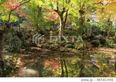 紅葉見頃な鳴谷山　聖宝寺 96581498