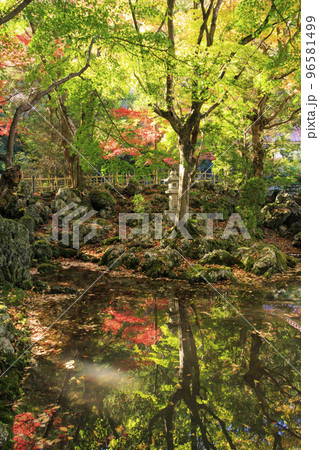 紅葉見頃な鳴谷山　聖宝寺 96581499