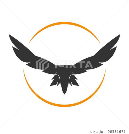Raven logo icon design illustration Raven logo icon design illustration 96581671