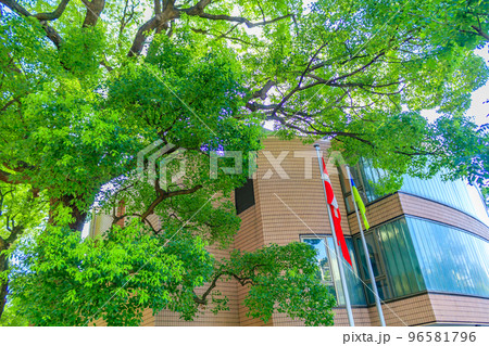 【東京の都市風景】スウェーデン大使館（代官山） 96581796