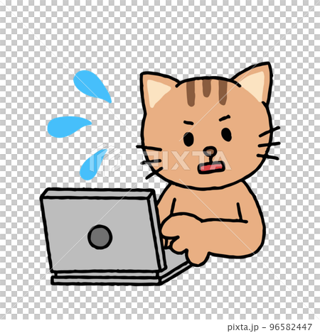 パソコン作業をするネコが焦っている パソコン作業をするネコが焦っている 96582447