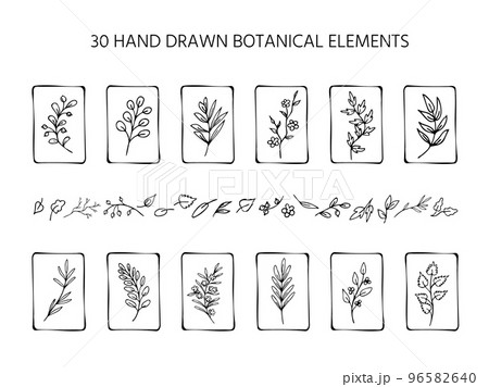 Set of hand drawn black and white leaves and twigs, branches. Collection of framed and simple botanical elements 96582640