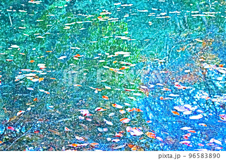 湖面に映る空と木々と浮かぶ落ち葉の幻想的な背景 湖面に映る空と木々と浮かぶ落ち葉の幻想的な背景 96583890