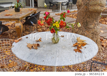 Withered Flowers Fall Garden 96584224