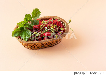 Wild strawberries in a beige basket on a orange background with green leaves, healthy and delicious food 96584829