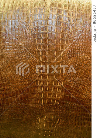Brown crocodile 96585457