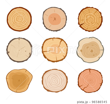 Cartoon tree trunk cuts, lumber wooden industry materials. Round pine, oak or birch slices, cutting tree trunk parts vector symbols illustration set. Wood lumber saw cuts 96586545