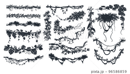 Cartoon jungle lianas branches silhouette, tropical forest climbing sprouts. Rainforest garden hanging liana vines elements vector illustration set. Liana plants black silhouettes Cartoon jungle lianas branches silhouette, tropical forest climbing sprouts. Rainforest garden hanging liana vines elements vector illustration set. Liana plants black silhouettes 96586859