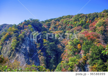 九酔渓の紅葉 96586999