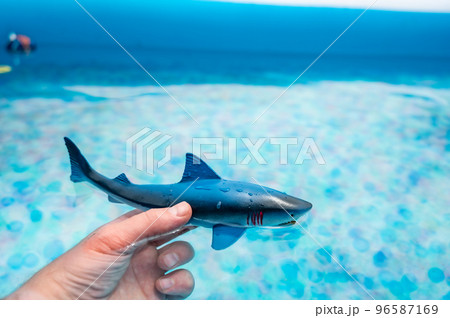 Great white shark plastic toy on the surface of a swimming pool 96587169