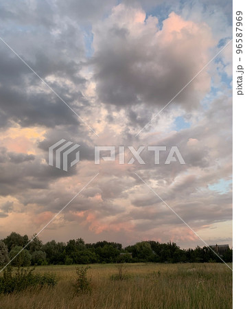 Landscape with meadow grasses at sunset Landscape with meadow grasses at sunset 96587969