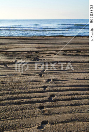 Footprints in the beach sand 96588352