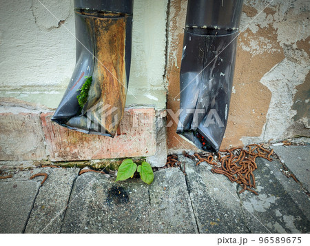 Green grss plant growing on concrete pavement tiles between two water drainage pipes near building wall with peeled plaster Green grss plant growing on concrete pavement tiles between two water drainage pipes near building wall with peeled plaster 96589675