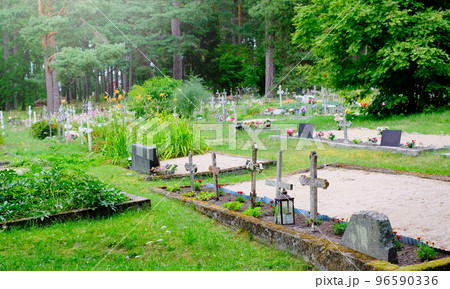 Old cemetery in the forest with many crosses. Estonia Old cemetery in the forest with many crosses. Estonia 96590336