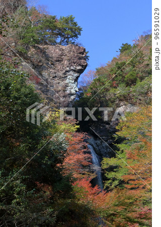 大荒の滝　飾る紅葉　（高知県　香美市） 96591029