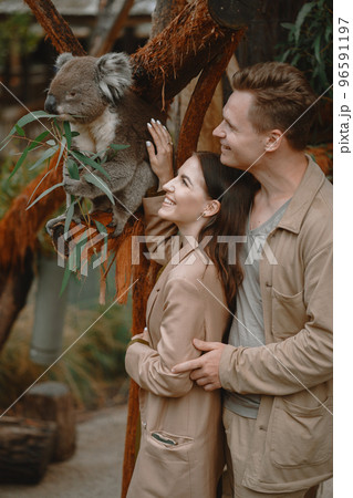 couple petting a real Koala for the first time at a park in Australia 96591197