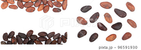 cocoa bean isolated on white background with copy space for your text. Top view. Flat lay cocoa bean isolated on white background with copy space for your text. Top view. Flat lay 96591930