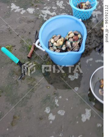 潮干狩り 96592112