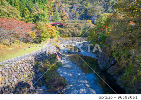 花の渡良瀬公園　渡良瀬橋からの眺め　秋の風景　 96593061