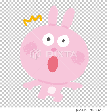 rabbit rabbit 96593233