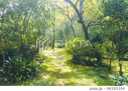 天見温泉 南天苑の庭園 96593384