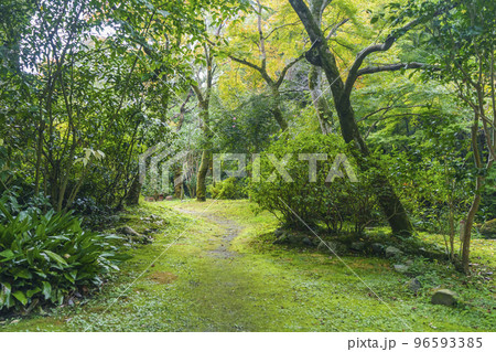 天見温泉 南天苑の庭園 天見温泉 南天苑の庭園 96593385