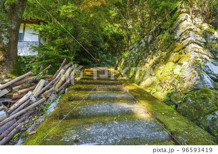 流谷八幡神社 境内（大阪府河内長野市天見） 96593419