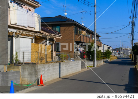 千葉県流山市木の風景2022年11月 千葉県流山市木の風景2022年11月 96594421