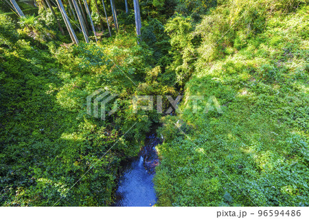 流谷八幡神社 八幡橋から見る天見川（大阪府河内長野市天見） 96594486