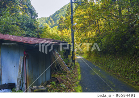 大阪府河内長野市天見　流谷地区　バラック小屋と山道 96594491